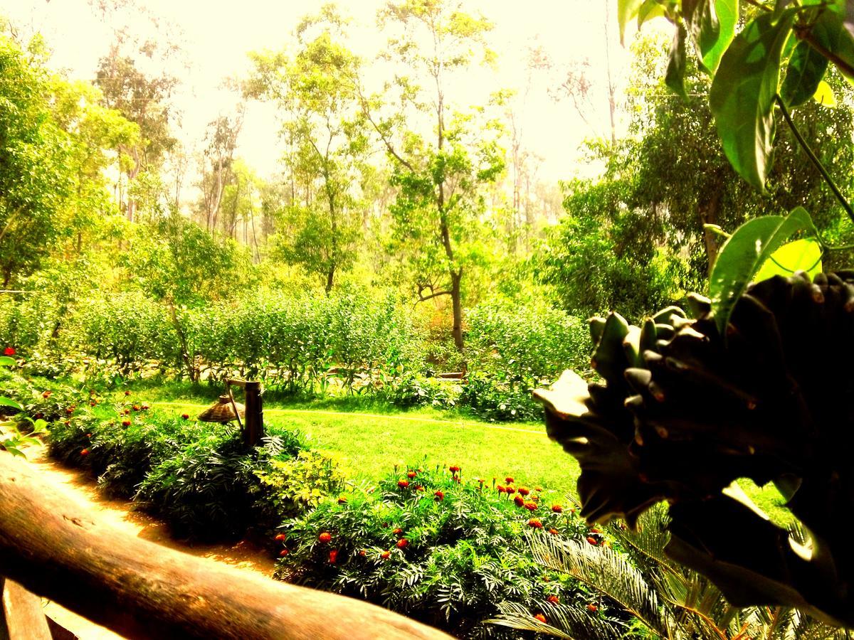 Roshnai Village Resort Bolpur Εξωτερικό φωτογραφία